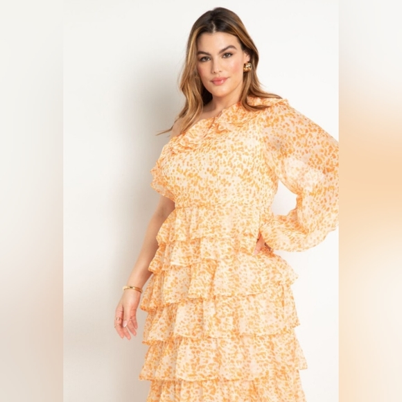 Chiffon Ruffled Dress - Picture 3 of 5